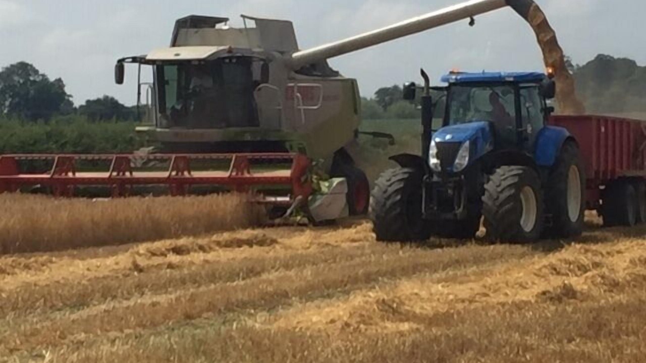 Photo of Others in Aldfield