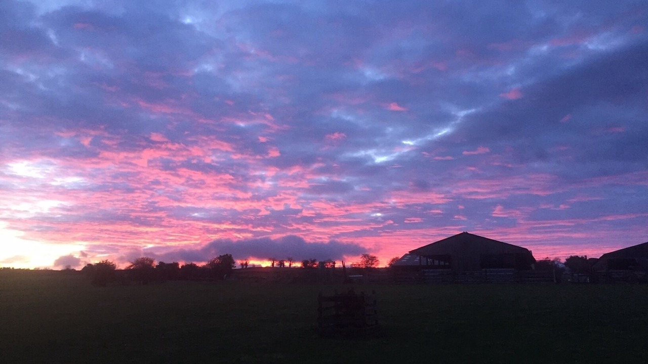 Photo of Others in Aldfield