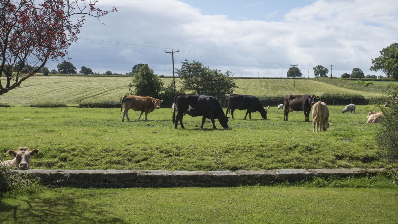 Photo of Others in Aldfield