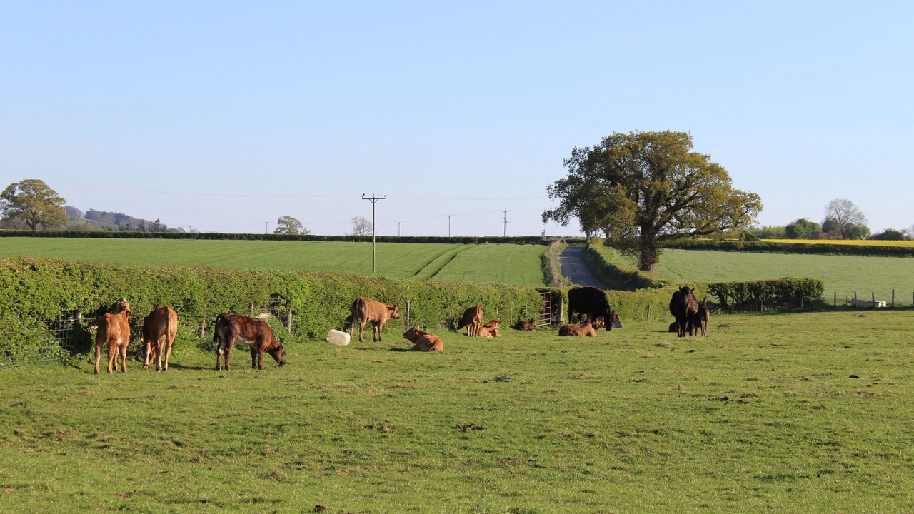 Photo of Outdoor in Aldfield