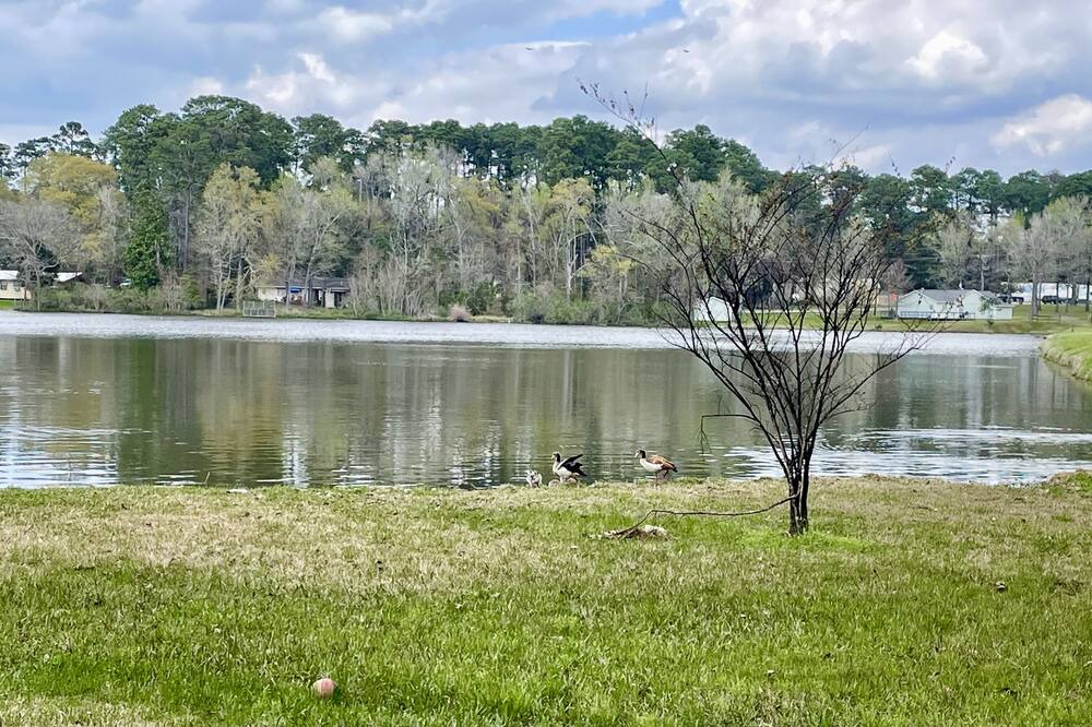 Photo of Outdoor in Montgomery