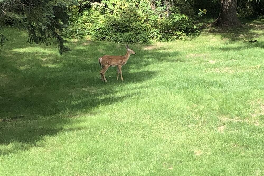Photo of Outdoor in Sainte-Adele