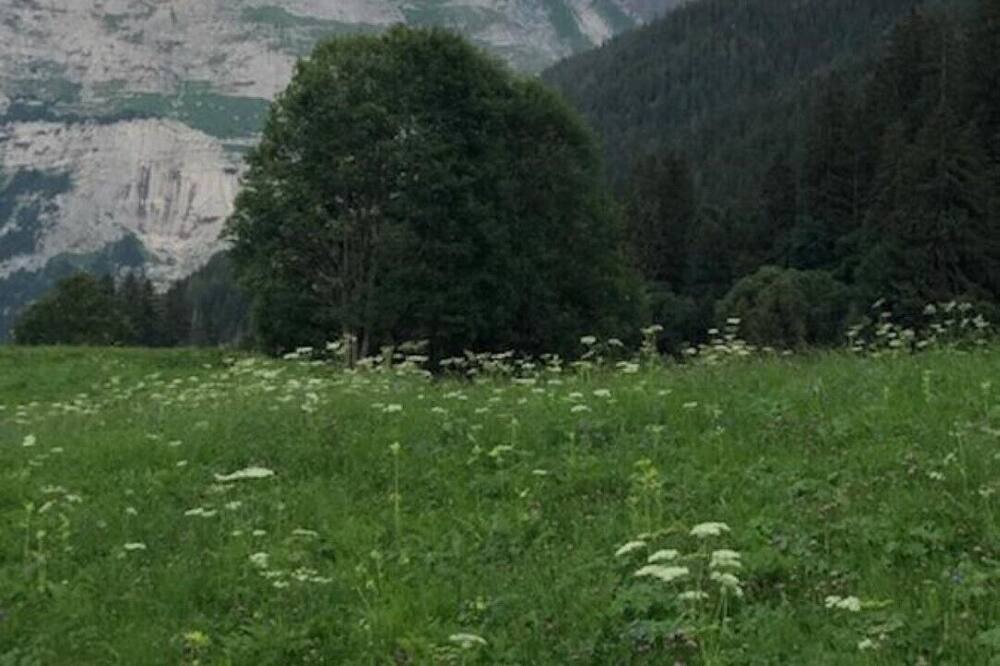 Photo of Others in Grindelwald