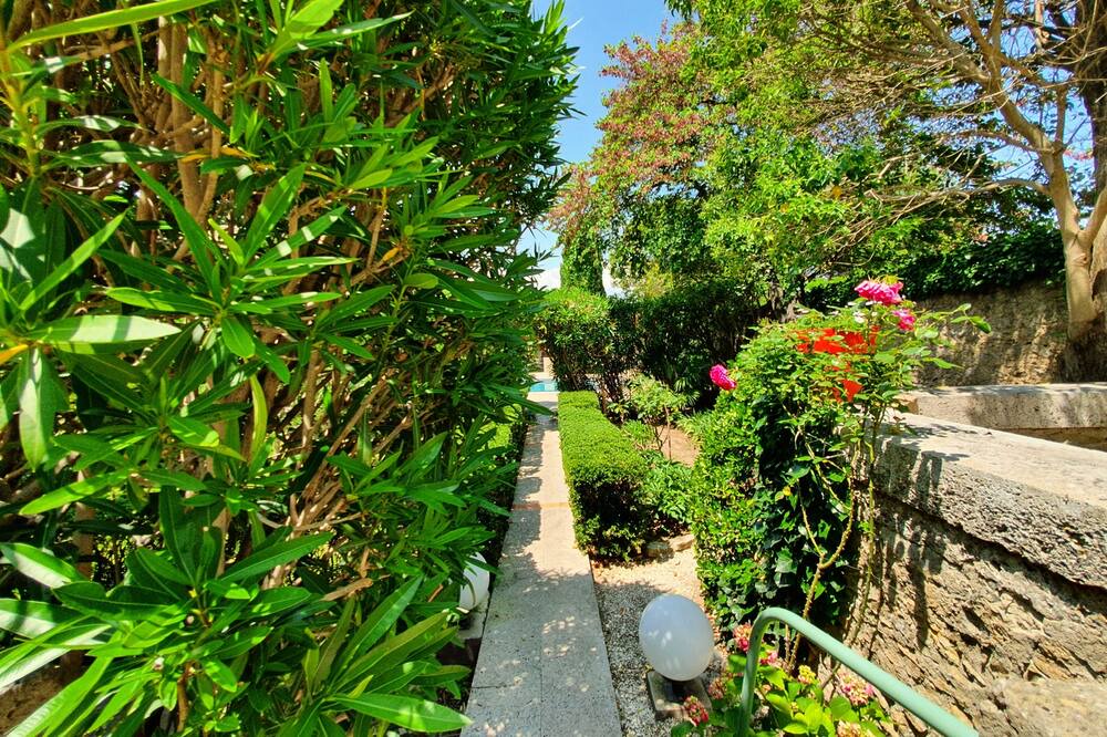 Photo of Outdoor in Luc-sur-Orbieu