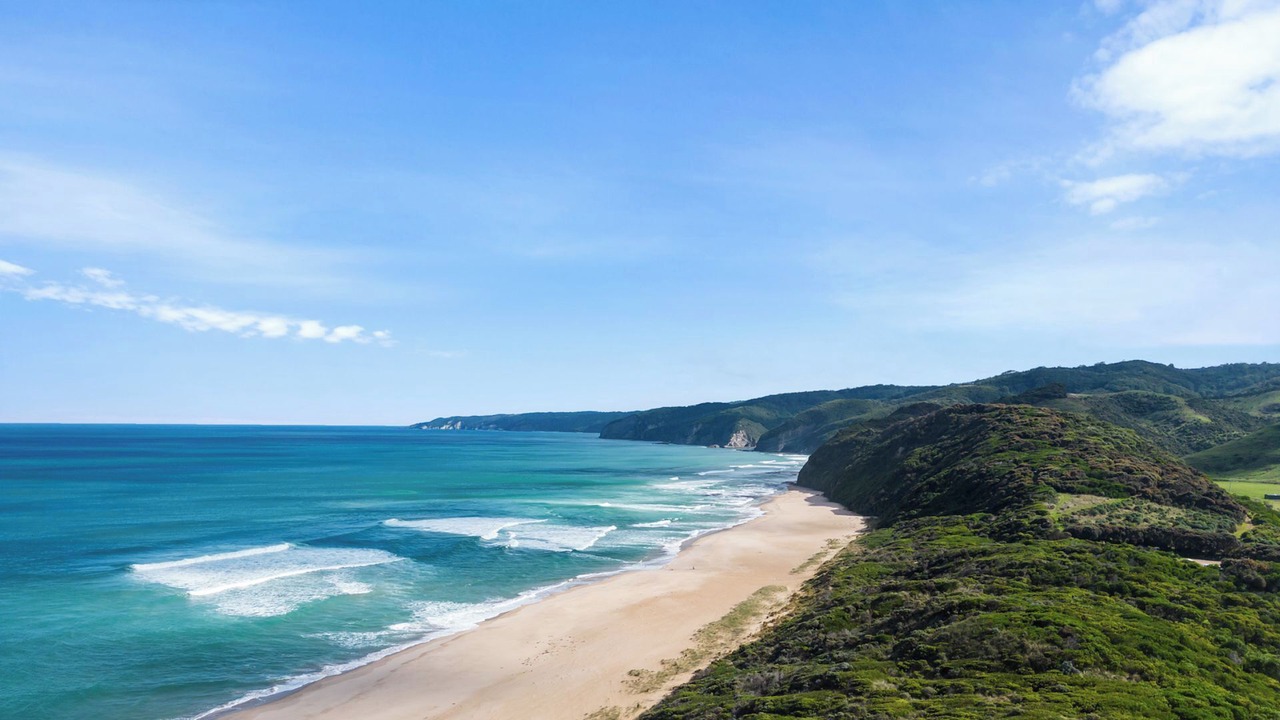 Photo of Others in Johanna