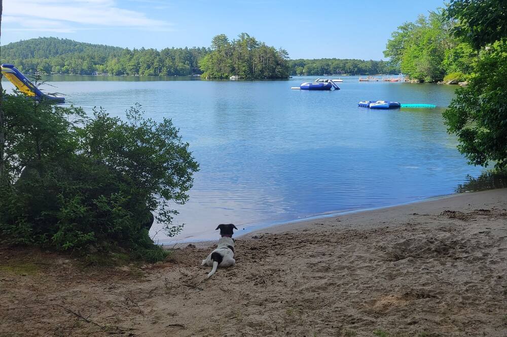 Photo of Others in Wolfeboro