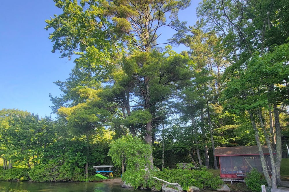 Photo of Outdoor in Wolfeboro