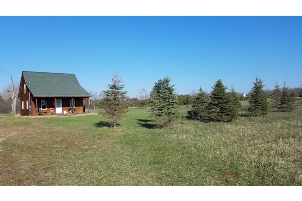 Photo of Outdoor in Evart
