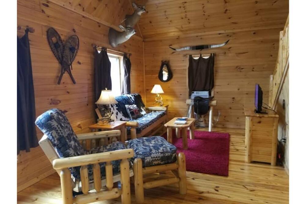 Photo of Livingroom in Evart