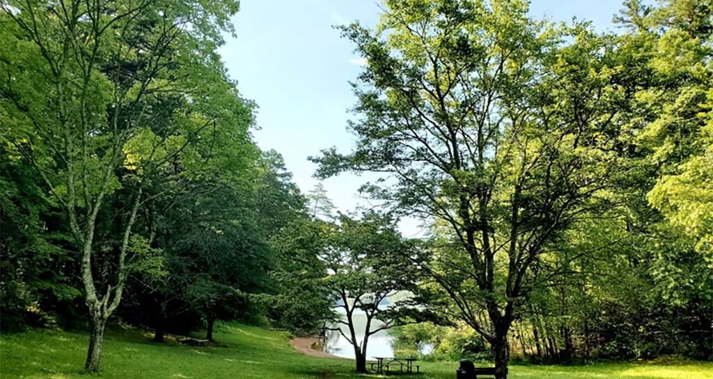 Photo of Outdoor in Blue Ridge