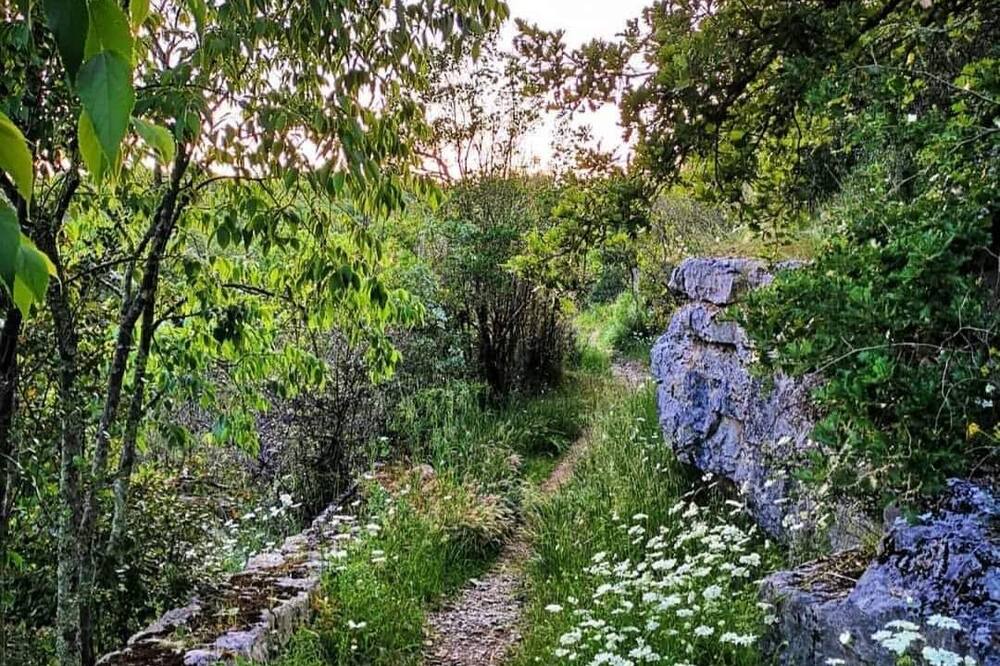 Photo of Outdoor in Rosieres