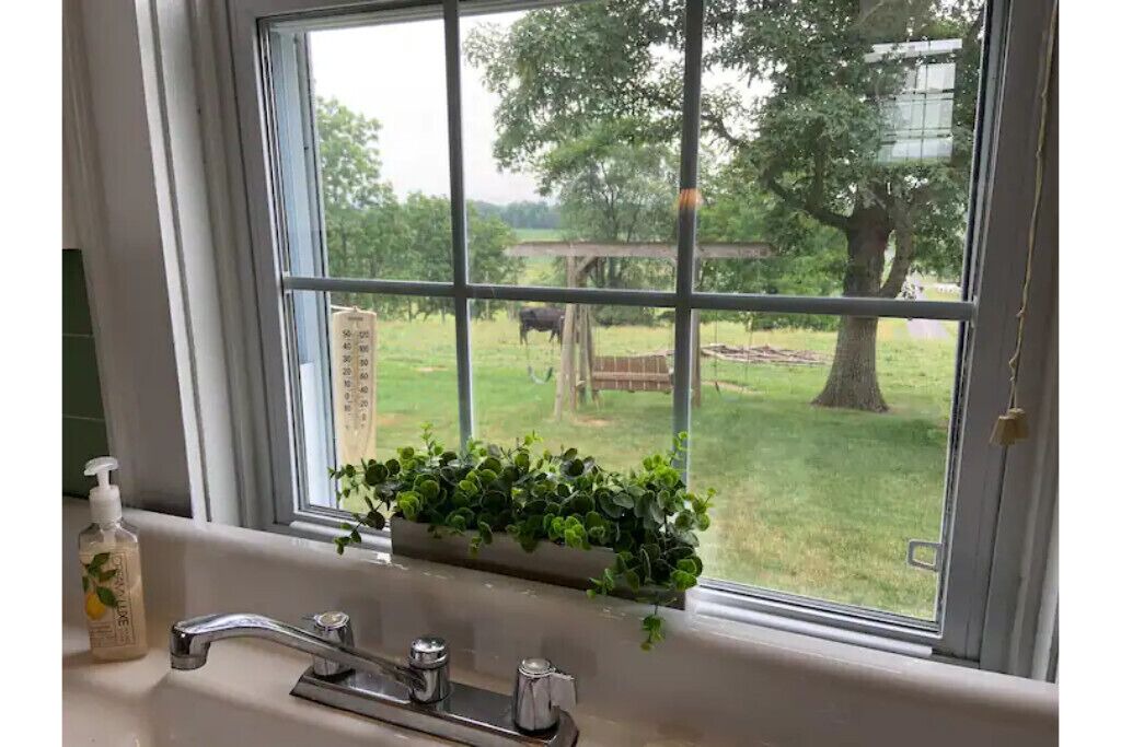 Photo of Others in Lewisburg