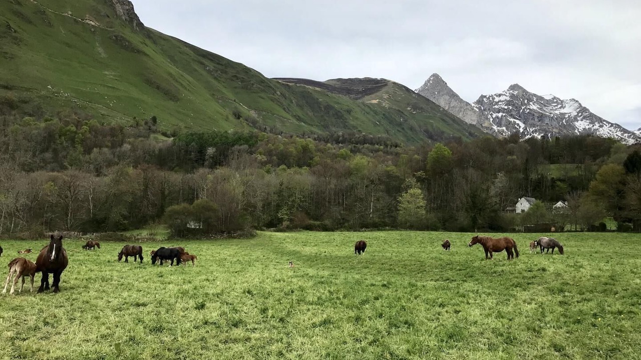 Photo of Outdoor in Accous