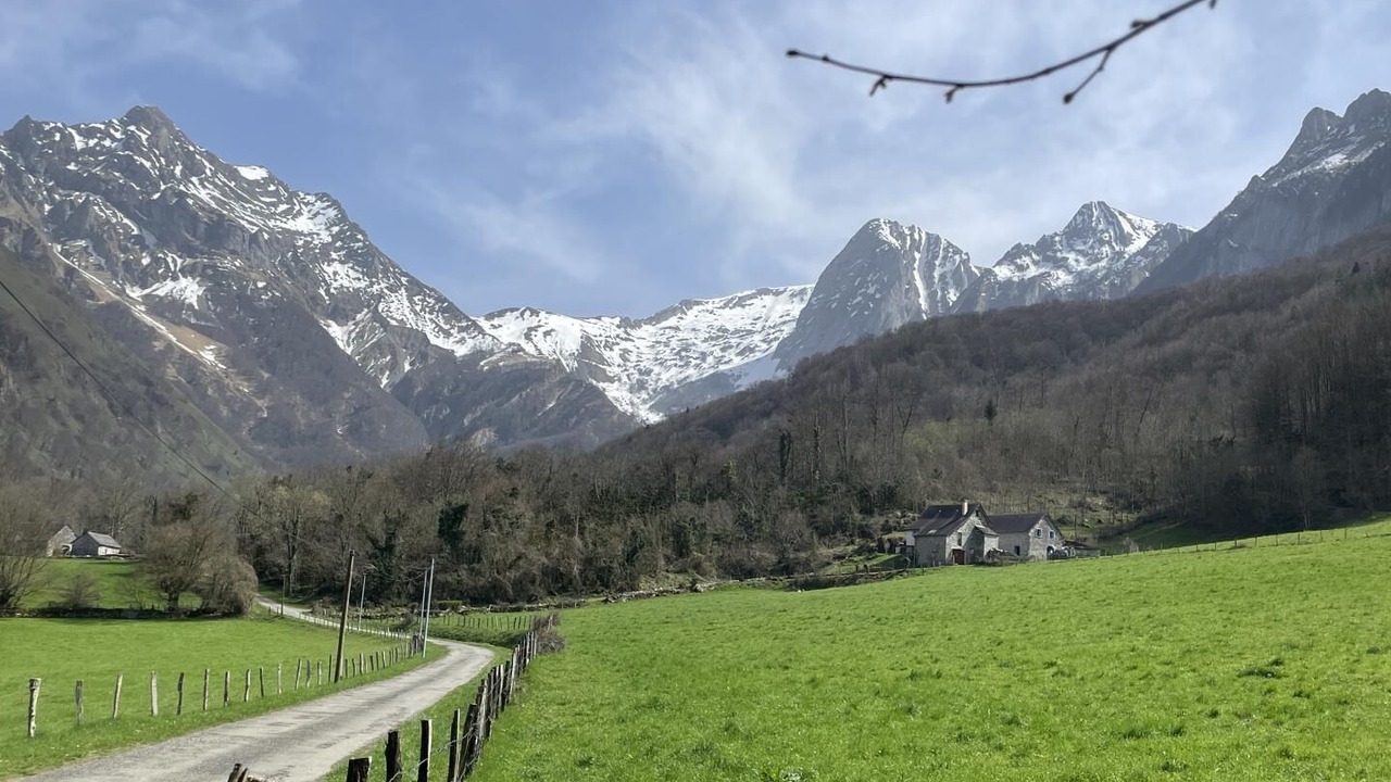 Photo of Others in Accous