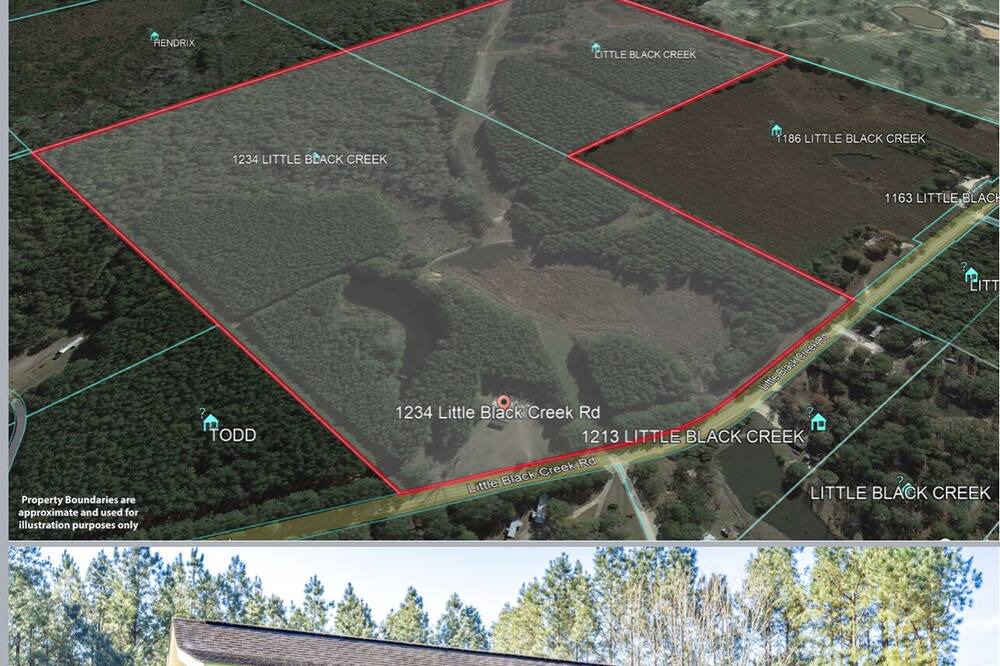 Photo of Outdoor in Lamar County