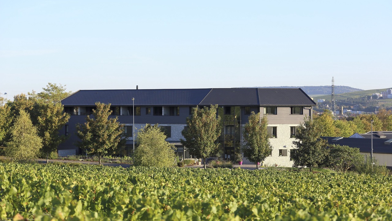 Photo of Outdoor in Dizy