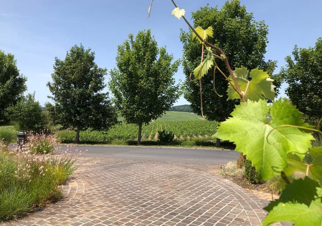 Photo of Outdoor in Dizy