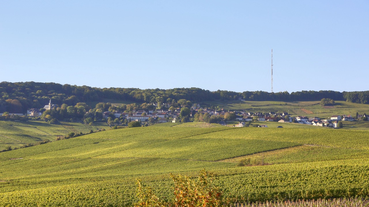 Photo of Others in Dizy