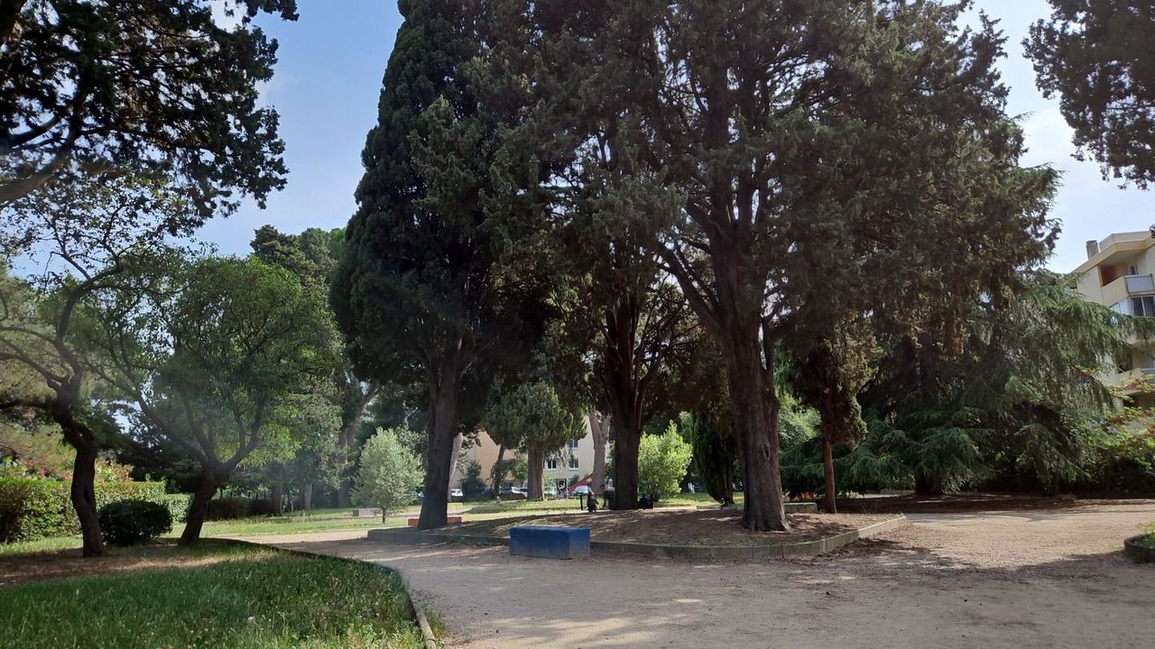 Photo of Outdoor in Lemasson