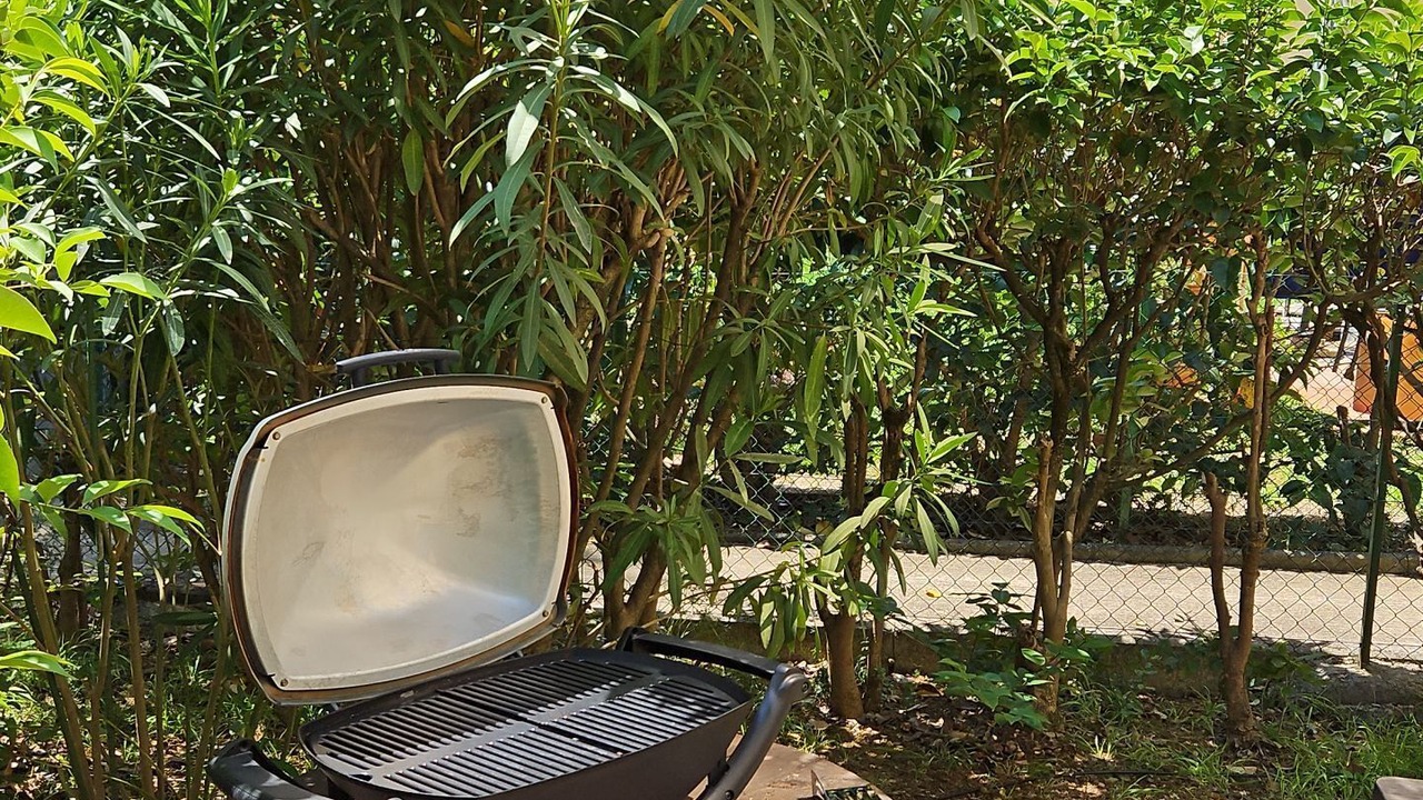 Photo of Outdoor in Lemasson