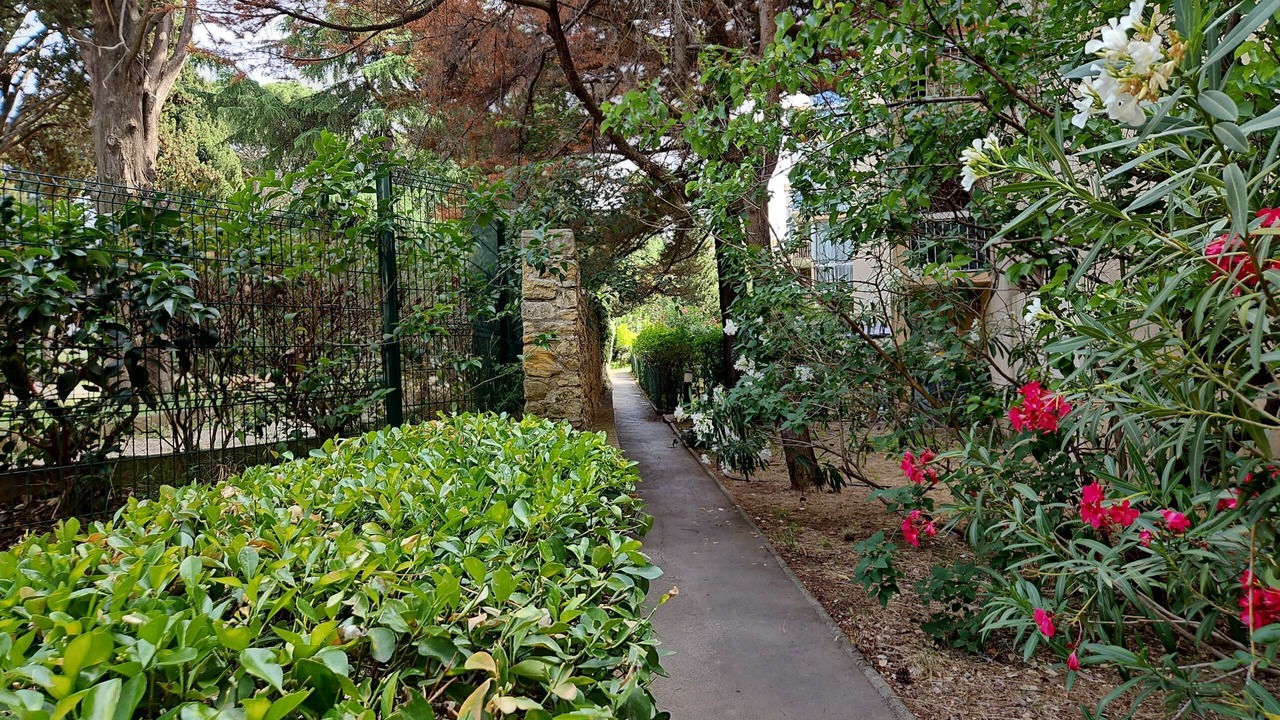 Photo of Outdoor in Lemasson