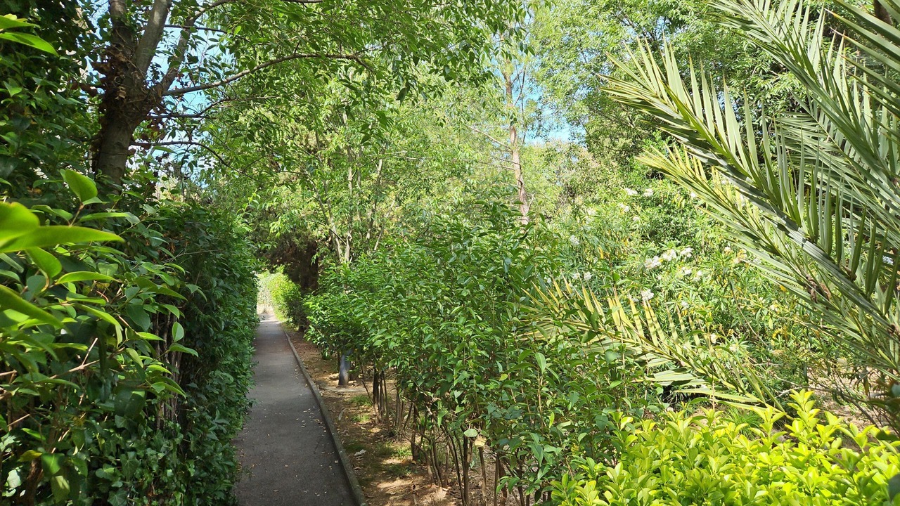 Photo of Outdoor in Lemasson