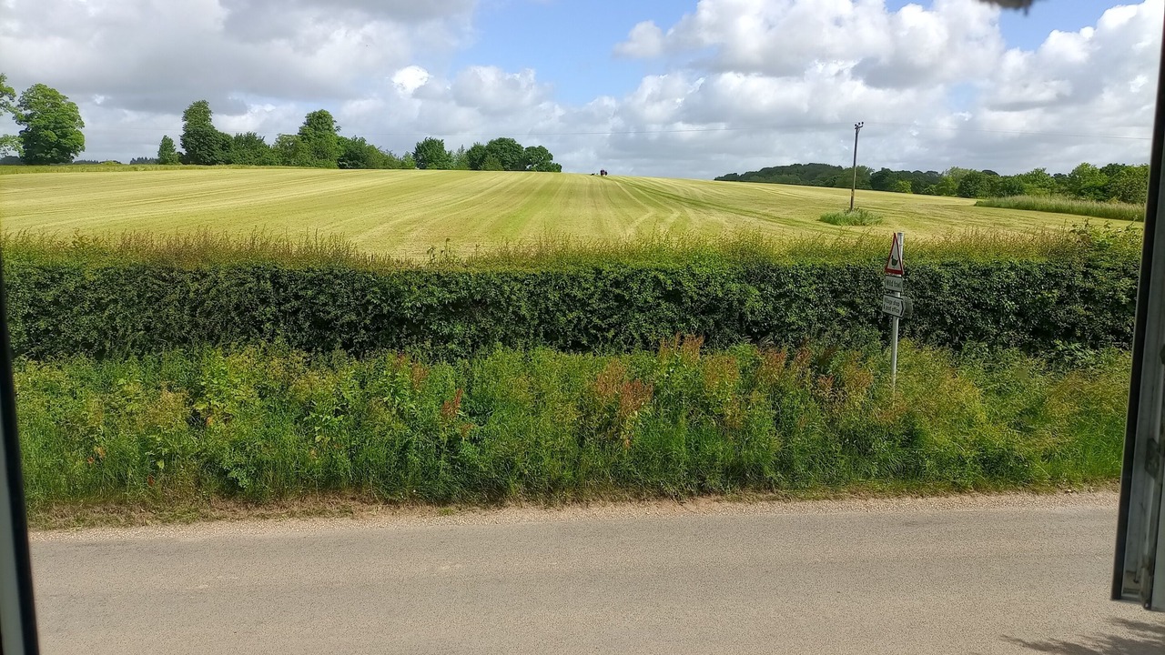 Photo of Outdoor in East Tisted