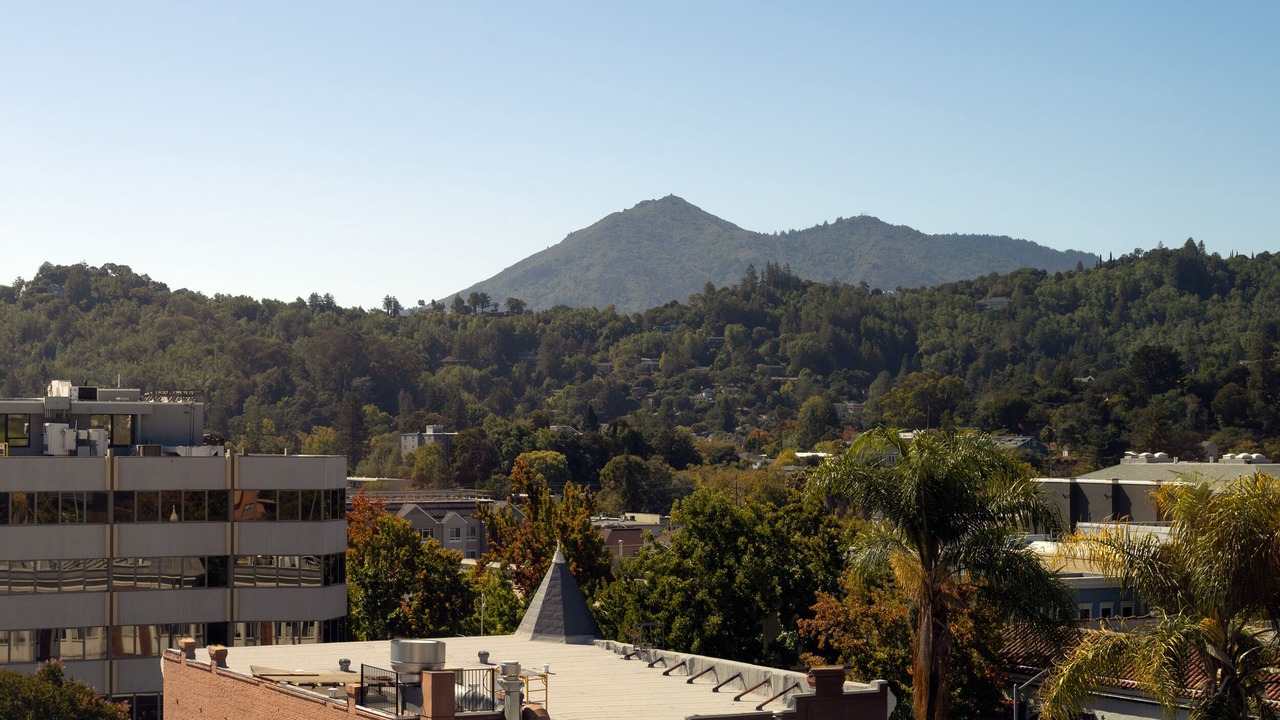 Photo of Bedroom in San Rafael