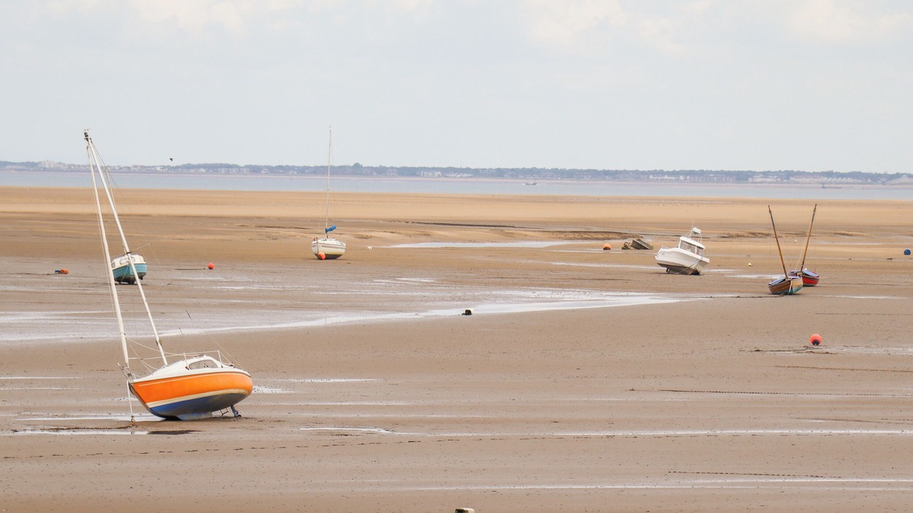 Photo of Others in Hoylake