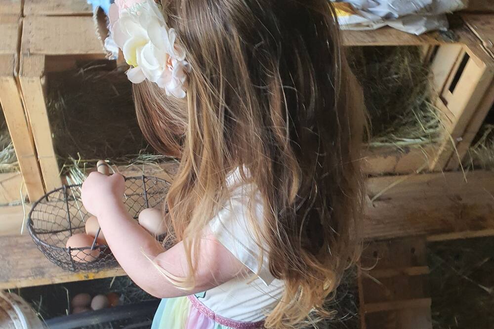 Photo of Outdoor in Chateauneuf-de-Galaure