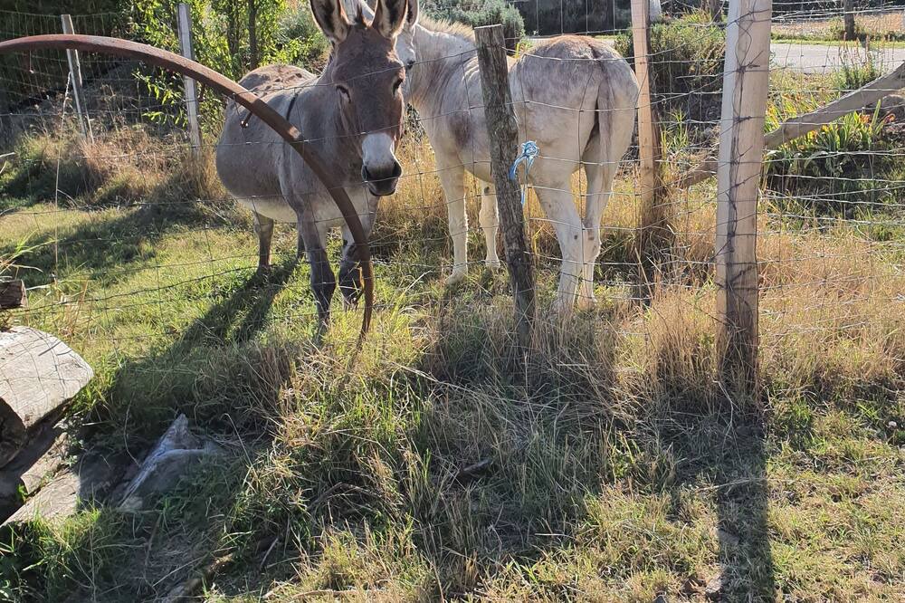 Photo of Outdoor in Chateauneuf-de-Galaure