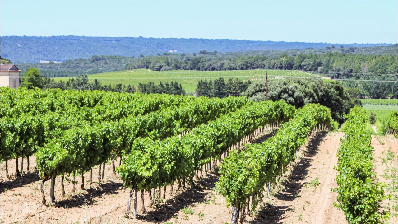 Photo of Outdoor in Malataverne