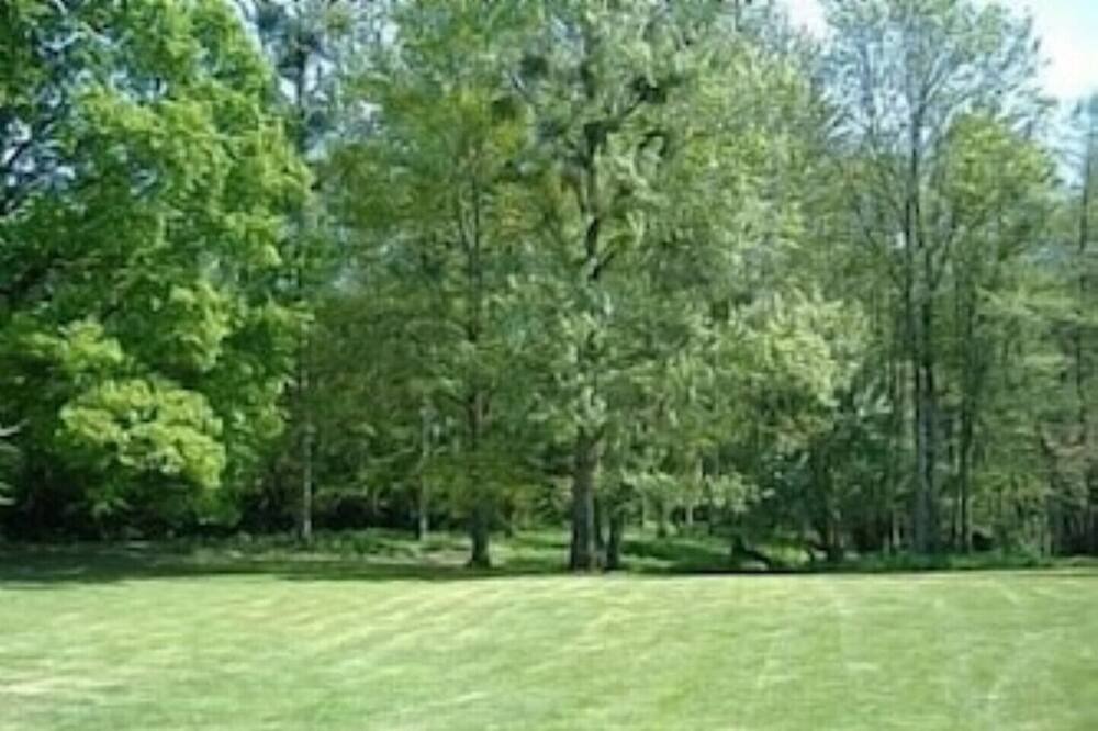 Photo of Outdoor in La Caillere-Saint-Hilaire
