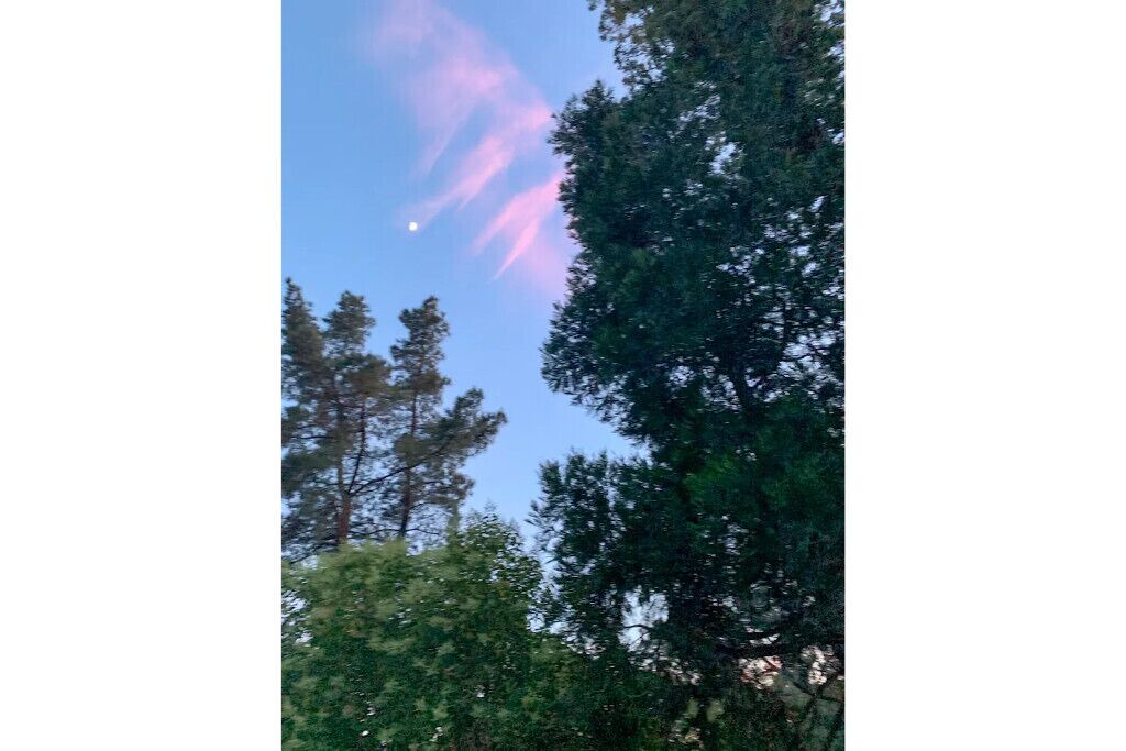 Photo of Outdoor in Carmichael