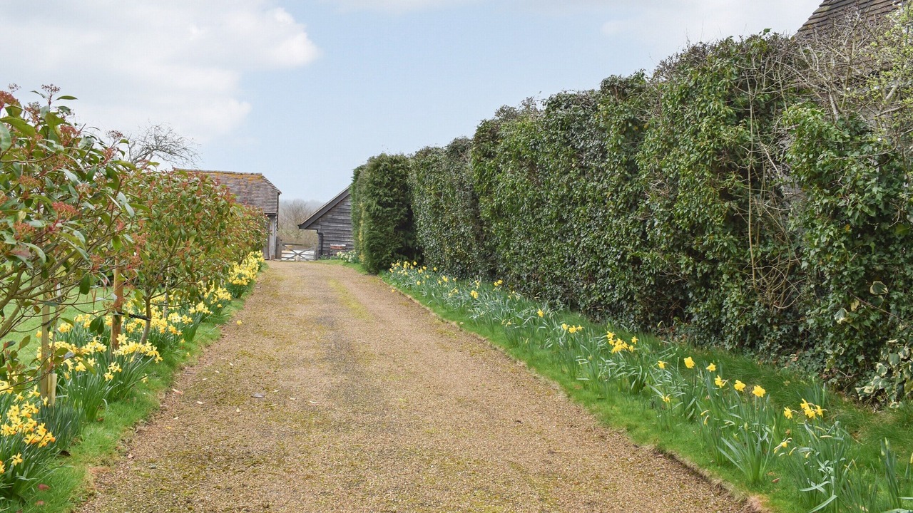 Photo of Outdoor in Pulborough