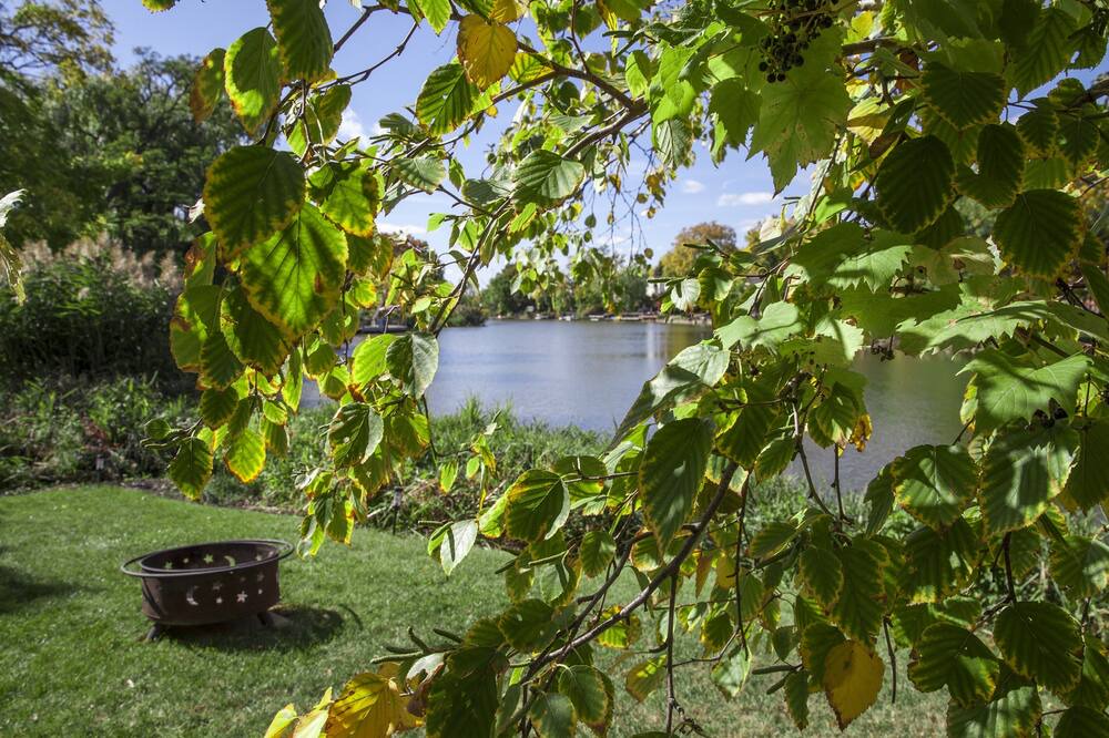 Photo of Outdoor in Winona