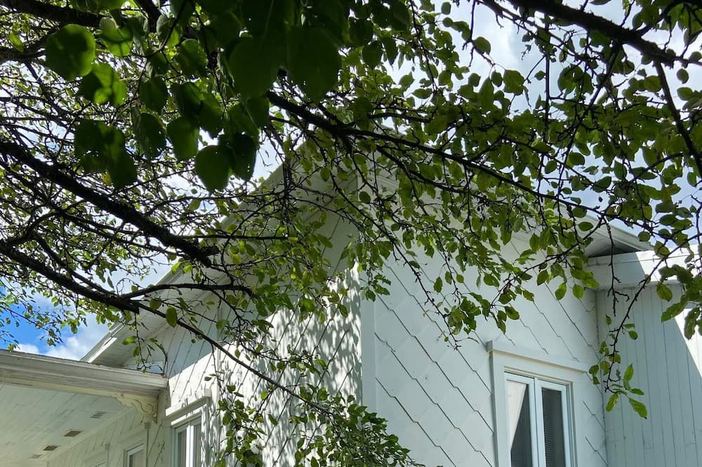 Photo of Outdoor in Stoneham