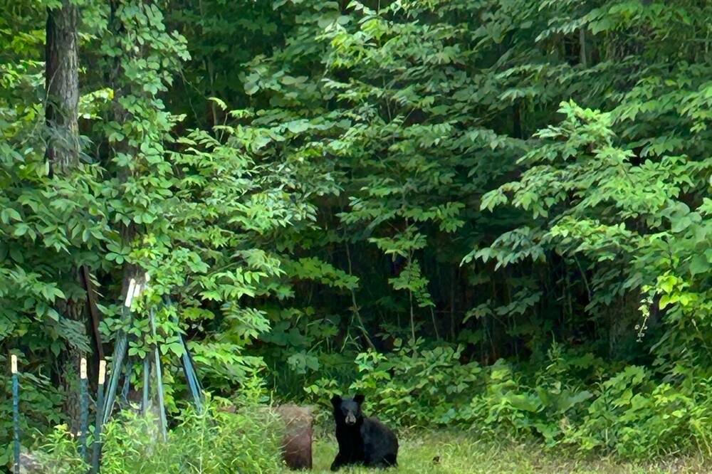 Photo of Others in Glidden