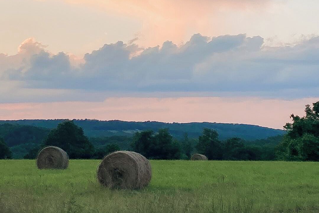 Photo of Outdoor in Deer