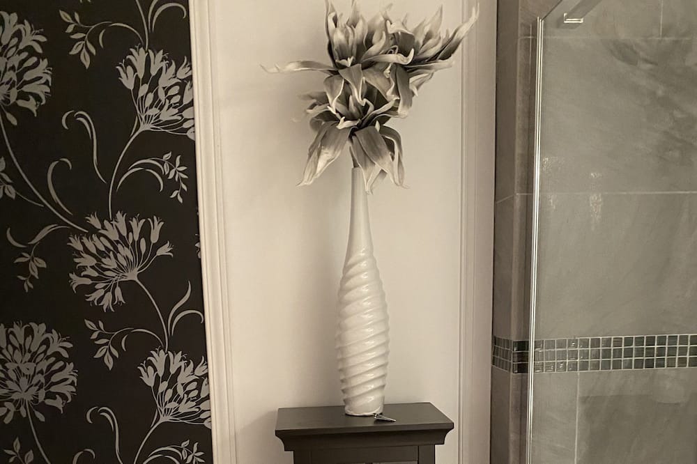 Photo of Bathroom in Saint-David