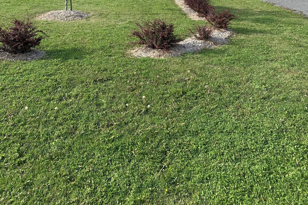 Photo of Outdoor in Saint-David