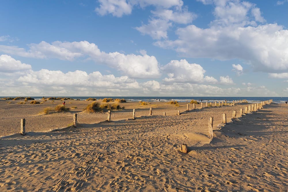 Photo of Others in Winnezeele