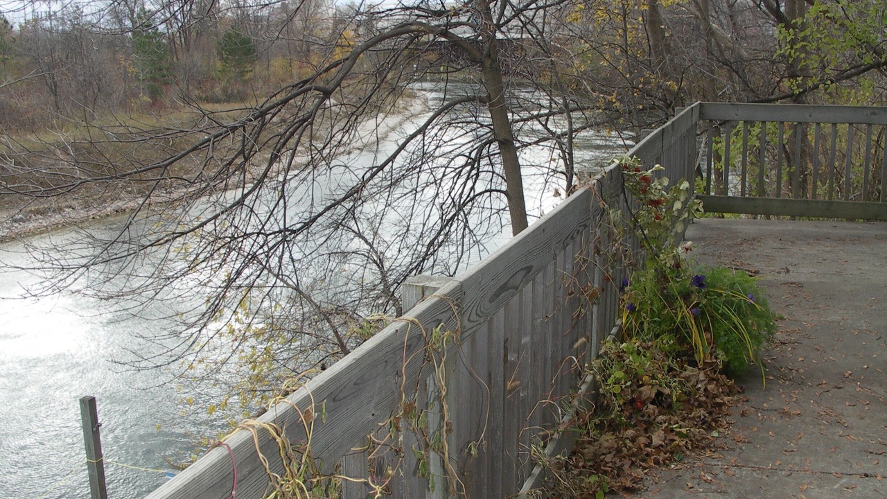 Photo of Outdoor in Cheboygan