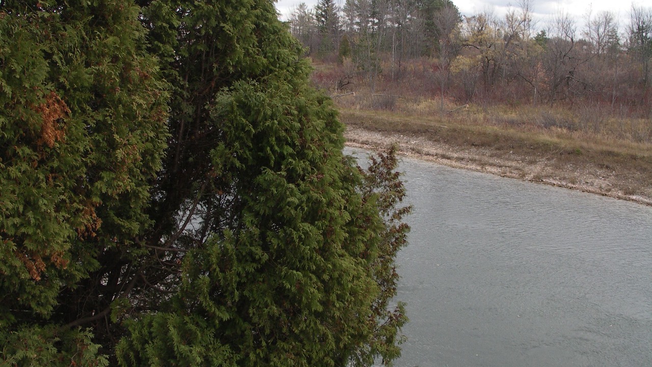 Photo of Outdoor in Cheboygan