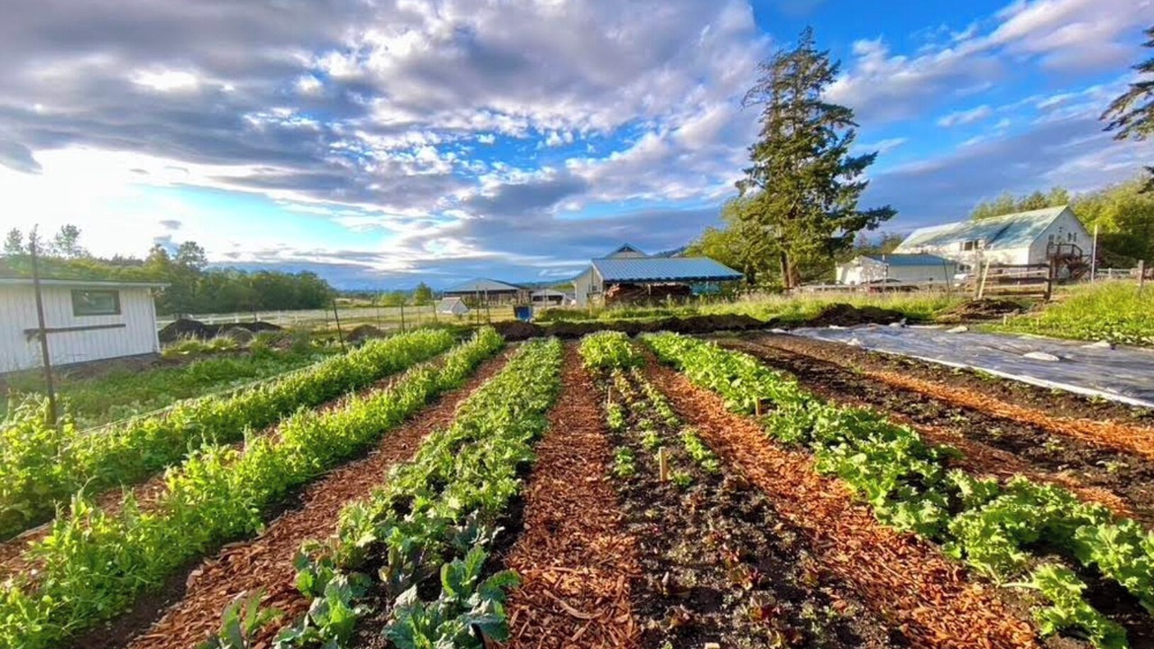 Photo of Outdoor in Friday Harbor