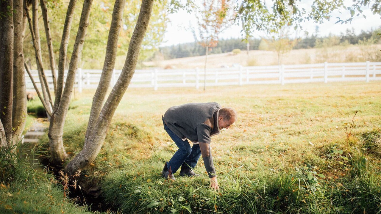 Photo of Others in Friday Harbor