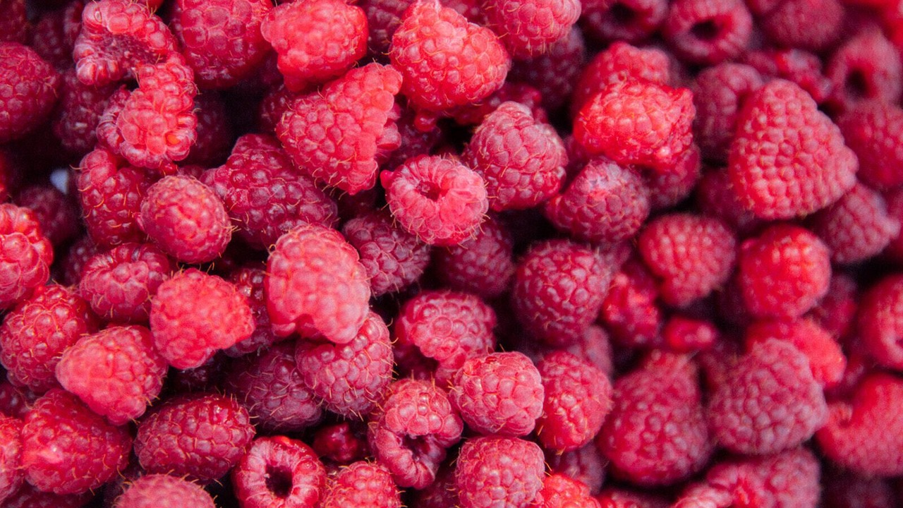 Photo of Others in Friday Harbor