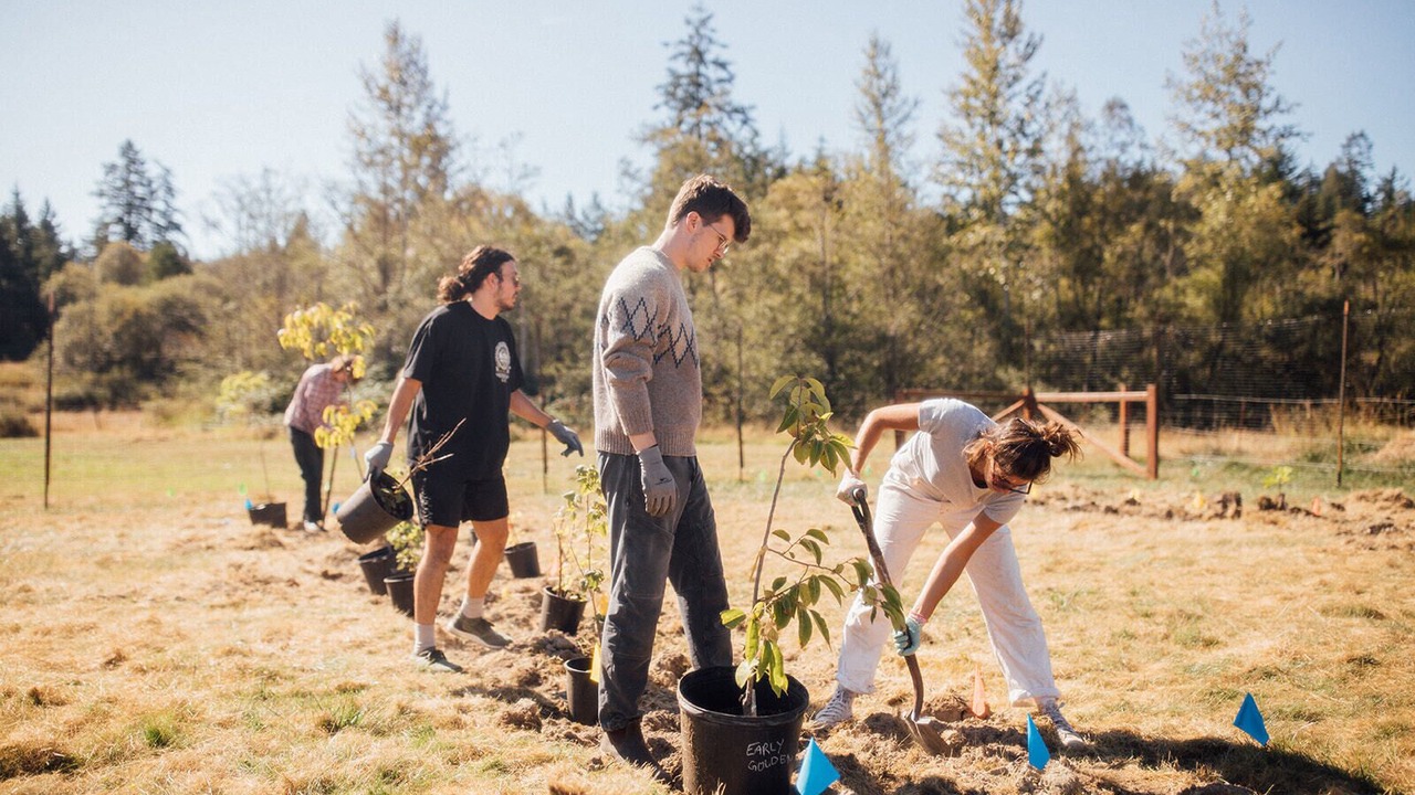 Photo of Others in Friday Harbor