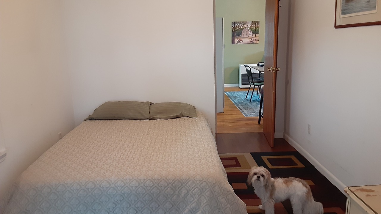 Photo of Others in Chippewa Bay