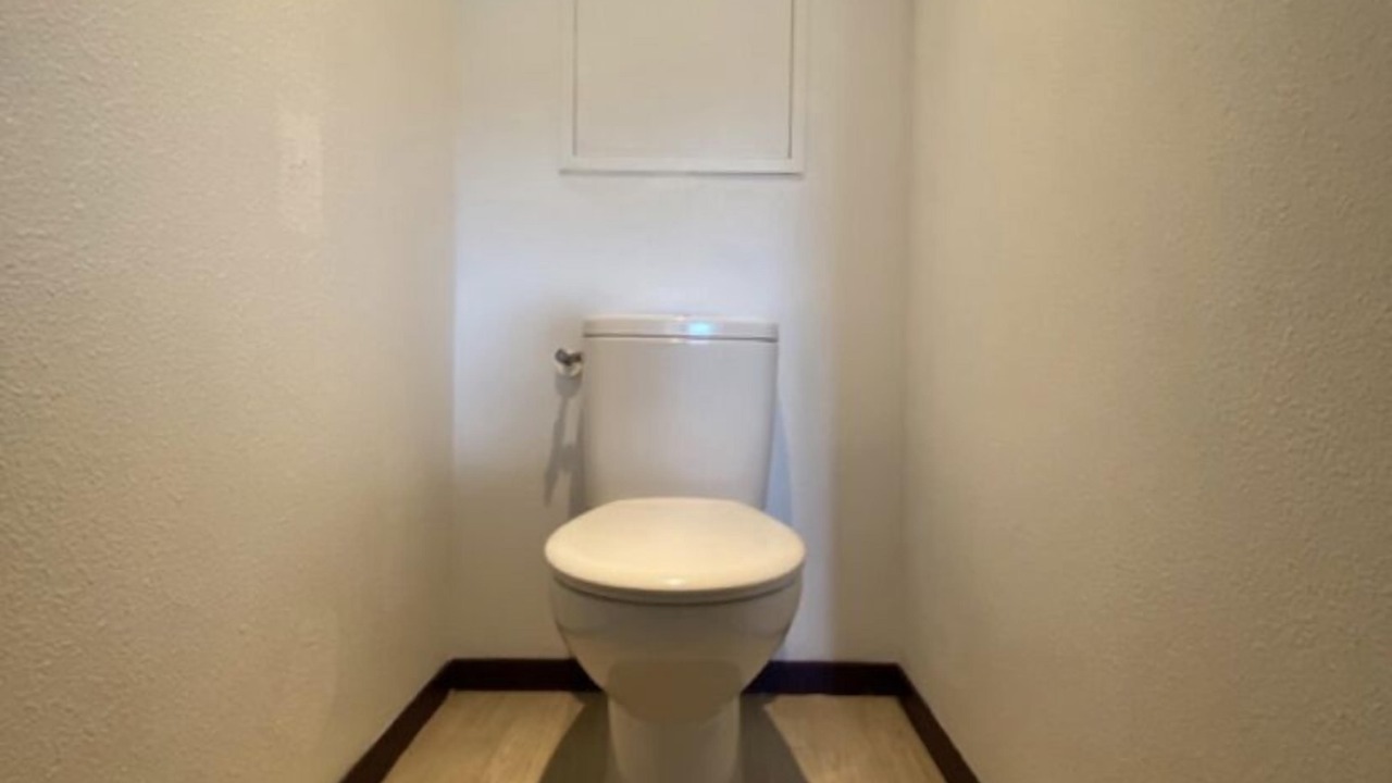 Photo of Others in Lourdes